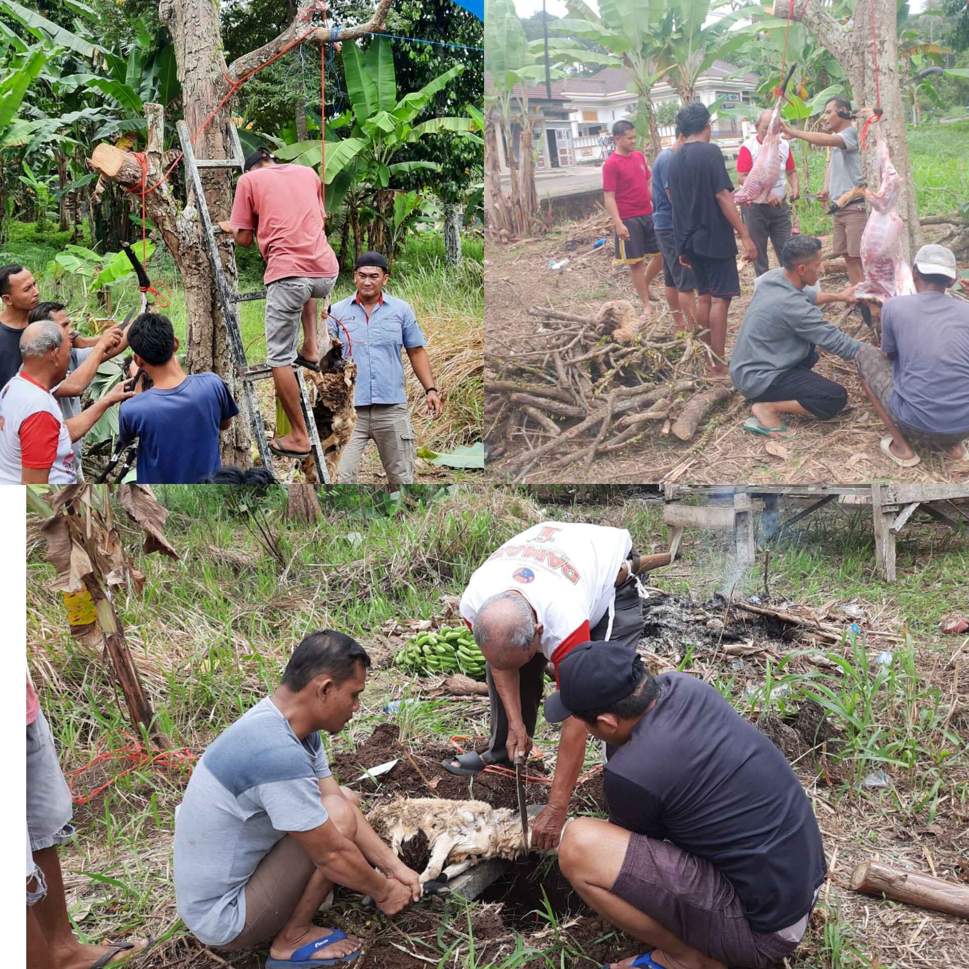 RT 2 Jalur Islamic Center Pekon Kusa Rayakan Ulang Tahun Perdana, Simbol Kebersamaan dan Kerukunan Warga